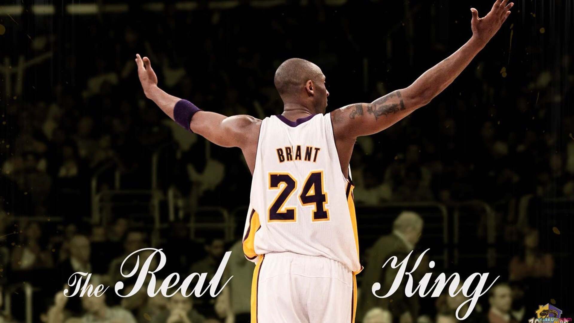 Scout遭遇十二连败，独行侠教练面临压力！